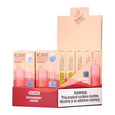 EB CREATE  5000 puffs  10 Ct