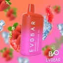 Evobar 5000 Puffs 10ct 