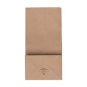 Bag Brown Paper # 20 250ct