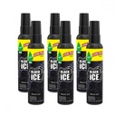 Little Tree Spray Black Ice 3.5oz - 6ct